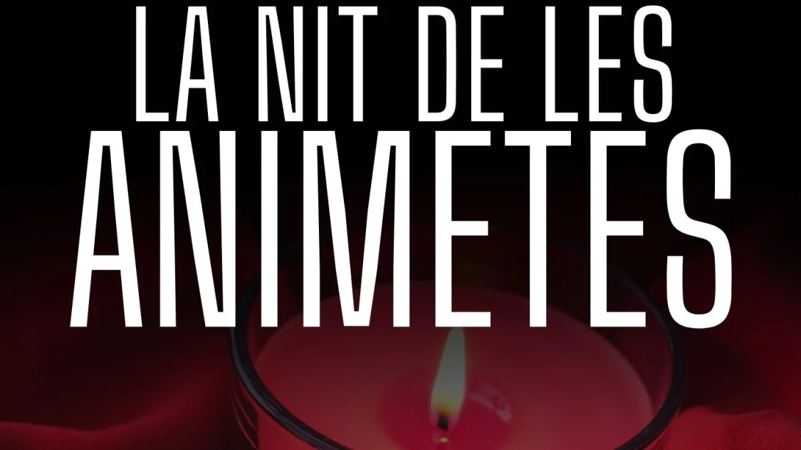 LA NIT DE LES ANIMETES